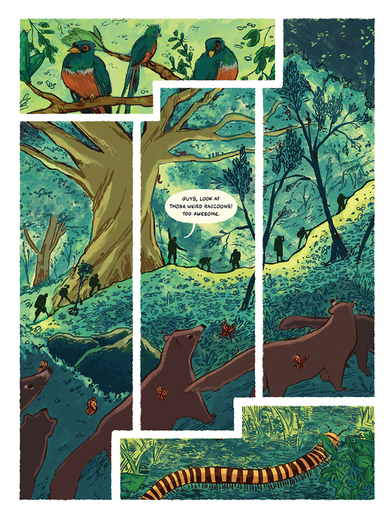 The Sun and the Wayward Wind interiors by Ashanti Fortson - lush forest with birds and trees