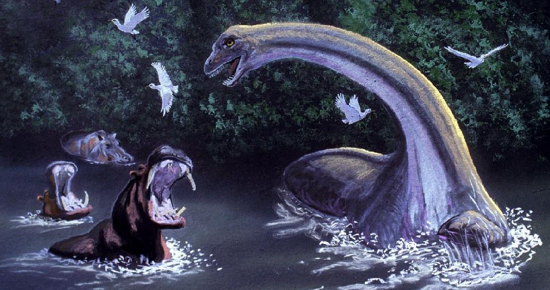 Hunting the Mokele-Mbembe