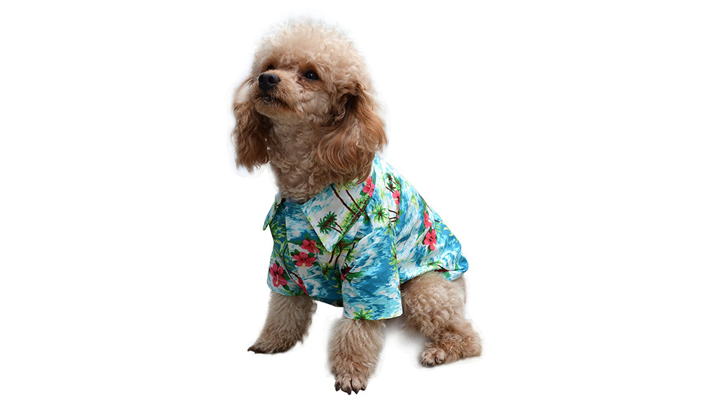 Dog Swimsuits - beach bum doggo in a beach bum button-up