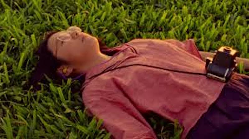 Five Movies to Watch When the World's Got You Down - Shirkers