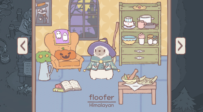 Floofer the Himalayan cat, clad in a wizard hat and standing in a cute Halloween-themed home.